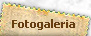 Fotogaleria Solina